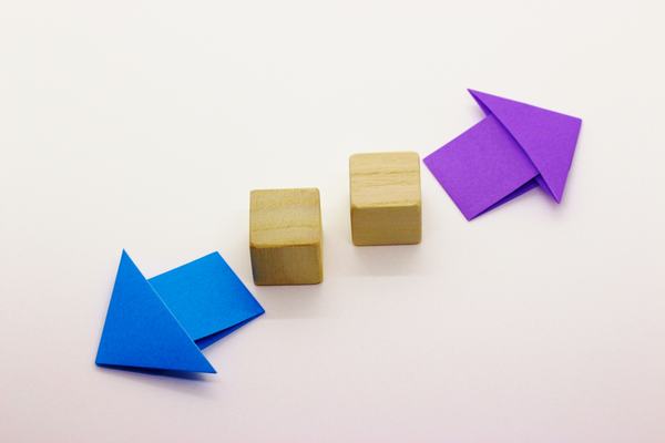 DividedFirms