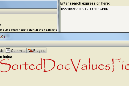 SortedDocValuesField-1