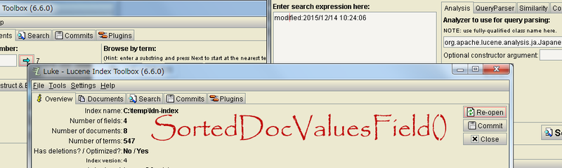 SortedDocValuesField-1