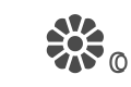 ip